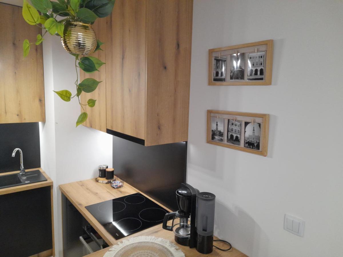 Apartament Amelia Замосць Экстерьер фото
